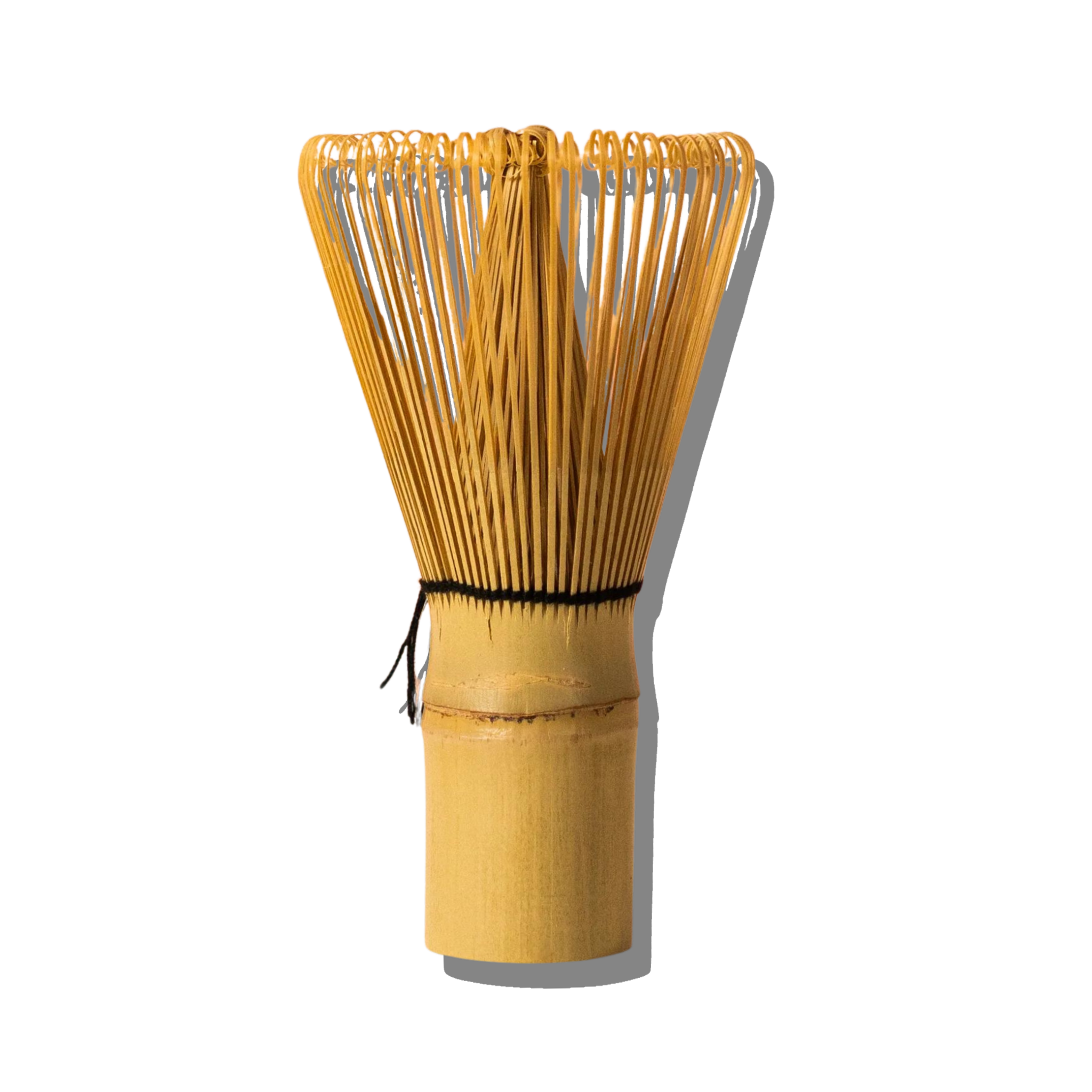 Bamboo matcha whisk, a traditional chasen, on a white background
